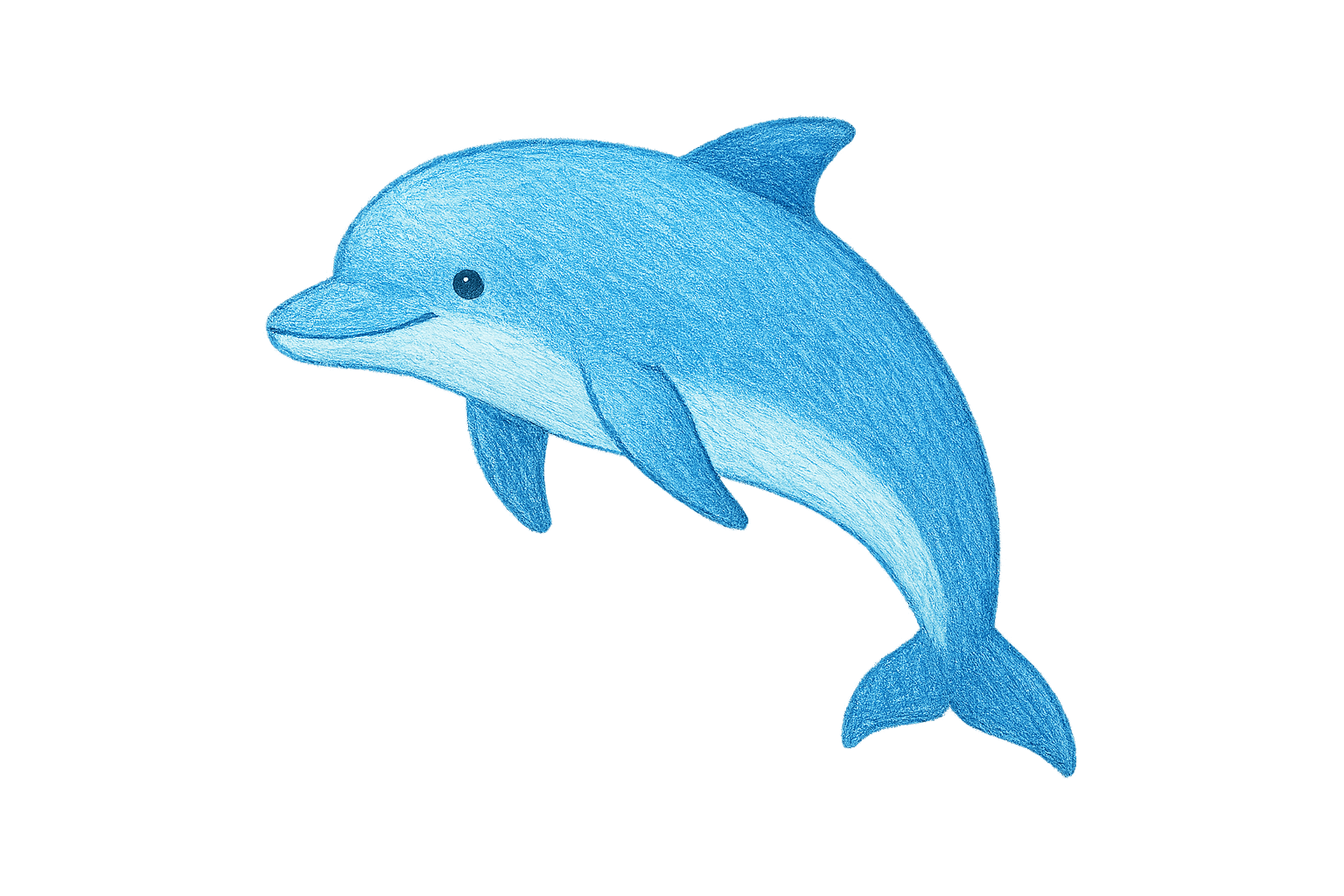 Dolphin